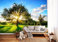 Флизелиновые фотообои 3D Ландшафт Поляна 416x254 см Природа - Солнечные лучи сквозь крону дерева (13015VEXXXL)+клей