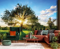 Флизелиновые фотообои 3D 416 x 290 см Природа - Солнечные лучи сквозь крону дерева (13015VEXXXXL)+клей