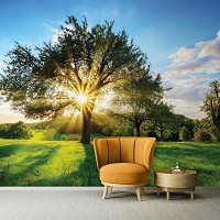 Флизелиновые фотообои 3D Ландшафт Поляна 368 x 280 см Природа - Солнечные лучи сквозь крону дерева (13015V10)+клей