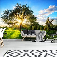 Флизелиновые фото обои в интерьере 3D Ландшафт 254 x 184 см Природа - Солнечные лучи сквозь крону дерева (13015V4)+клей