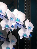 Флизелиновые фотообои геометрический узор 206x275 см 3Д Орхидеи сине-белые (1301VEA)+клей