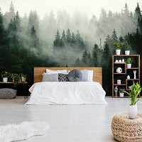 Флизелиновые фотообои 3D 416 x 290 см Природа Пейзаж - Зеленый туманный лес (13026VEXXXXL)+клей