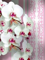 3д флизелиновые фотообои в зал 184x254 см Орхидеи и светло-розовый узор (1302V4A)+клей