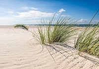 Флізелінові фотошпалери 3D Вид на піщані дюни Трава на морському пляжі (13049V)+клей - вид 1 мініатюра
