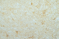 Жидкие обои Юрски Хлопок 1306 Белый