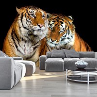 Флизелиновые фотообои с природой в интерьере 254x184 см 3D Животные Два тигра Кошки (130V4)+клей