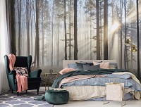 3D Флизелиновые фотообои для кухни 416 x 290 см Природа - Туман сквозь светлый лес (13136VEXXXXL)+клей