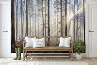 Флізелінові 3D фотошпалери фото 368x254 см Природа - Туман крізь світлий ліс (13136V8)+клей