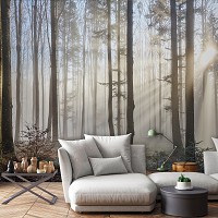 Флізелінові 3D фотошпалери 312x219 см Природа - Туман крізь світлий ліс (13136VEXXL)+клей