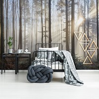 3D Фотообои с природой в интерьере 368 x 254 см Туман сквозь светлый лес (13136P8)+клей