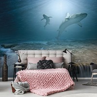 3D Флизелиновые фотообои море 416 x 254 см Животные - Акулы на рифе (13161VEXXXL)+клей