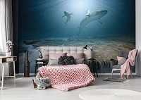 3D Флизелиновые фотообои море 368 x 280 см Животные - Акулы на рифе (13161V10)+клей