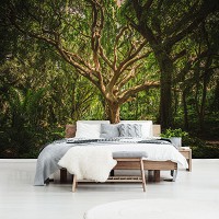 Флизелиновые фотообои в спальню 416x254 см 3D Лес Природа - Могучее ветвистое дерево в джунглях (13181VEXXXL)+клей