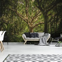 Флизелиновые фотообои для спальни 416 x 290 см 3D Лес Природа - Могучее ветвистое дерево (13181VEXXXXL)+клей