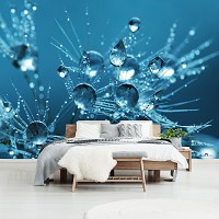 Красиві флізелінові 3D фотошпалери на кухню 416x290 см Квіти - Ніжні краплі на кульбабах (13183VEXXXXL)+клей