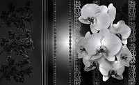 3 д флизелиновые фотообои в гостиную 312x219 см Черно-белые орхидеи (1327VEXXL)+клей