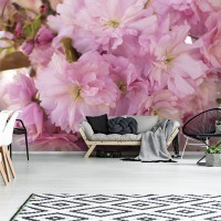 3D Большие розовые цветы фотообои 368х254 см Цветение сакуры (13282P8)+клей