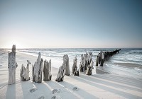 Краєвид 3D флізелінові фото шпалери 416x254 см Природа Пляж Волнолом Дюни Пісок Морський горизонт (13305VEXXXL)+клей - вид 1 мініатюра