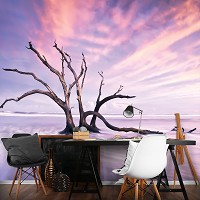 Флизелиновые 3д фотообои Облака Пейзаж - Одинокое дерево пустыни (13311V)+клей