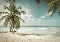 Флизелиновые фотообои природа 3D Океан – Пальма на пляже (13347V)+клей - вид 1 миниатюра