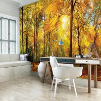 Готовые флизелиновые фотообои 3D Золотые Листья 368 x 254 см Природа - Осенний лес в лучах солнца (13460V8)+клей