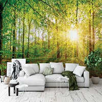 Флизелиновые фотообои 3D Деревья Природа - Весенний лес в лучах солнца (13462V)+клей