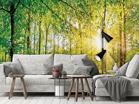 Флизелиновые фотообои 3D деревья 368 x 280 см Природа - Весенний лес в лучах солнца (13462V10)+клей
