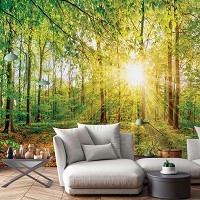 Флизелиновые фотообои в спальню над кроватью 3D 368 x 254 см Природа - Весенний лес в лучах солнца (13462V8)+клей