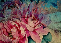 Флізелінові фотошпалери 312x219 см Намальована велика квітка на стіні (13484VEXXL) +клей - вид 1 мініатюра