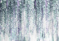 Флізелінові фотошпалери 416x290 см Гліцинії квіти на світлому фоні (13521VEXXXXL) +клей - вид 1 мініатюра