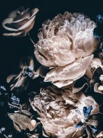 Флізелінові 3D шпалери фото Квіти Півонії Троянди 206 x 275 см Дивовижний букет на чорному тлі (13524VEA)+клей - вид 1 мініатюра