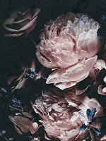 Флізелінові фотошпалери 3D Троянди Півонії 184x254 см Вінтажні квіти на чорному тлі (13525V4A)+клей - вид 1 мініатюра