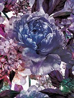 Флізелінові фото шпалери 206x275 см Фіолетові квіти (13530VEA)+клей - вид 1 мініатюра