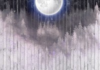 Флизелиновые фотообои с рисунком доски 460 x 300 см Пейзажи - Луна над белым лесом (на дереве) (13550V12)+клей - вид 1 миниатюра