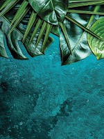 Флізелінові фото шпалери 206 x 275 см Квіти - Листя на камені морського кольору (13551VEA)+клей - вид 1 мініатюра