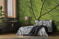 Популярные флизелиновые фотообои 460 x 300 см Природа - Зеленый листок под макросъемкой (13569V12)+клей