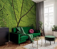 Флизелиновые фото обои природа 254 x 184 см Зеленый листок под макросъемкой (13569V4)+клей