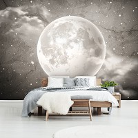 Флизелиновые фотообои 368 x 254 см Космос - Луна на бетоне в сепии (13575V8)+клей