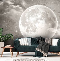 Флизелиновые фотообои звездное небо на стену Луна на бетоне - сепия (13575V)+клей