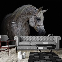 Флизелиновые фотообои на кухню 312 x 219 см Животные - Бело-серая лошадь на черном фоне (13596VEXXL)+клей
