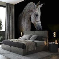 Флизелиновые фотообои в спальню над кроватью 368x254 см Животные - Бело-серая лошадь на черном фоне (13596V8)+клей
