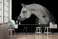 Флизелиновые фотообои в коридор 312 x 219 см Животные - Серый конь на черном фоне (13597VEXXL)+клей