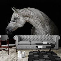 Флизелиновые фотообои 416 x 254 см Животные - Серый конь на черном фоне (13597VEXXXL)+клей