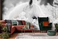Флизелиновые фотообои 368 x 254 см Животные - Белая лошадь в цветах (13598V8)+клей