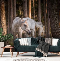 Флизелиновые 3D фото обои с деревьями 254 x 184 см Животные - Белая лошадь в лесу (13599V4)+клей