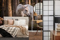 Флизелиновые 3D фотообои для спальни 368 x 254 см Животные - Белая лошадь в лесу (13599V8)+клей