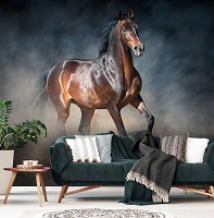 Флизелиновые фото обои 3D 254 x 184 см Животные - Коричневая лошадь скачет (13600V4)+клей
