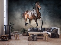 Флизелиновые 3Д фотообои Коричневая лошадь скачет (13600V)+клей