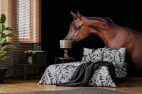 Флизелиновые 3D фотообои звери 368 x 254 см Животные - Коричневая лошадь на черном фоне (13601V8)+клей