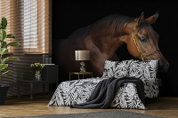 Флизелиновые 3D фотообои с животным принтом Коричневая лошадь на темном фоне (13602V)+клей